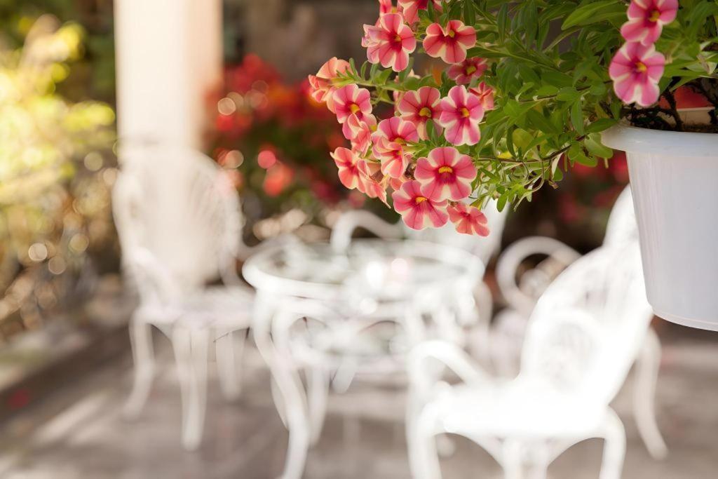 Hoa Sen Vang Hotel Dalat Dış mekan fotoğraf