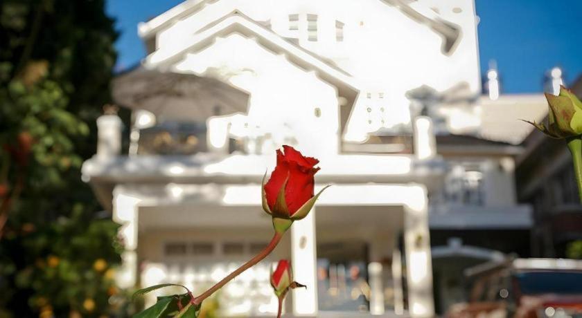 Hoa Sen Vang Hotel Dalat Dış mekan fotoğraf