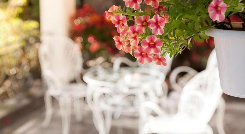 Hoa Sen Vang Hotel Dalat Dış mekan fotoğraf